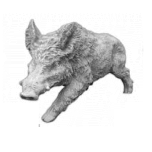Figura dzik