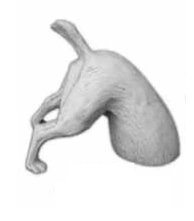 Figura pies w ziemi