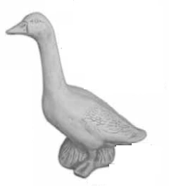 Gęś