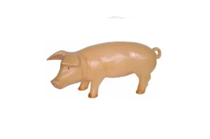 Figura Swinia