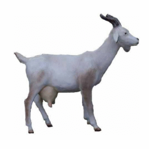 Figura Koza