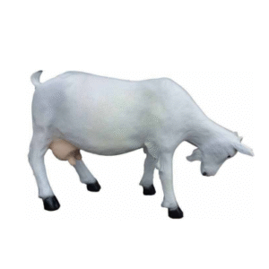 Figura Koza