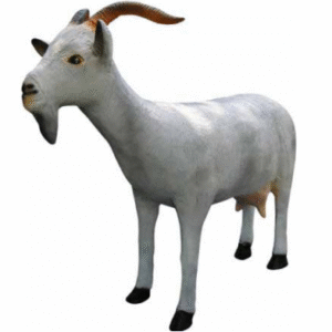 Figura Koza