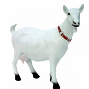 Figura Koza