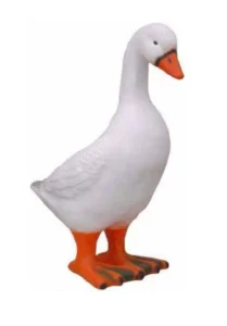 Forma na gęś zpt23