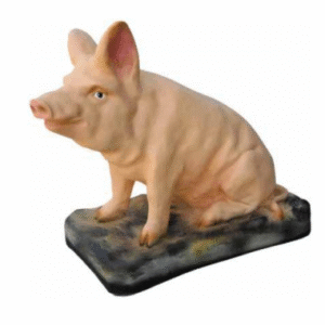 Figura Swinia