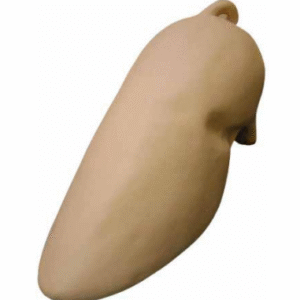 Figura Swinia