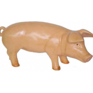 Figura Swinia
