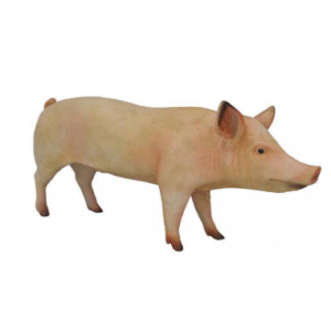 Figura Swinia